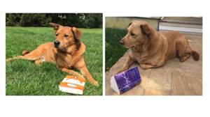 Butch and Sundance Reading